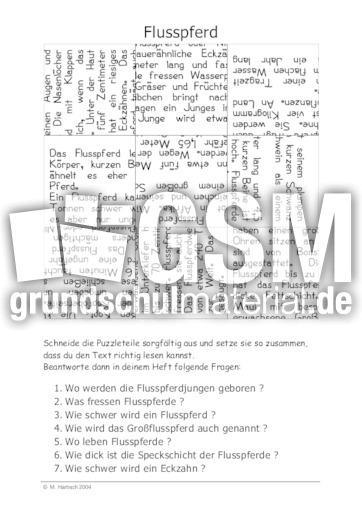 Flusspferd.pdf
